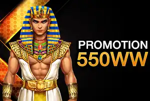 550WW promotion