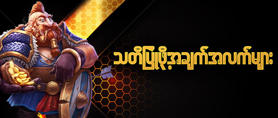 သတိပြုဖို့အချက်အလက်များ